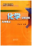 2023年启文引路九年级化学上册沪教版