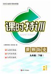 2023年课时特训九年级历史下册人教版