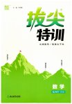 2023年拔尖特训七年级数学下册苏科版