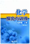 2023年探究与训练九年级化学上册沪教版