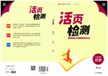 2023年通城学典活页检测八年级历史下册人教版