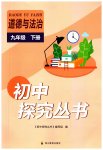 2023年新课程实践与探究丛书九年级道德与法治下册人教版