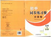 2023年同步练习册分层拓展八年级道德与法治下册人教版