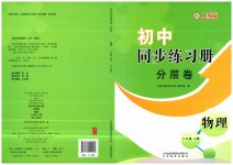 2023年同步练习册分层拓展八年级物理下册人教版