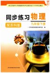 2023年同步练习江苏九年级物理下册苏科版