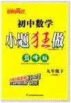 2023年小题狂做九年级数学下册苏科版巅峰版