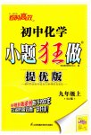 2023年初中化学小题狂做九年级上册沪教版提优版