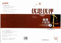 2023年优思优评八年级道德与法治下册人教版