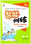 2023年激活思维智能训练六年级数学下册人教版