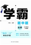 2023年学霸题中题九年级化学上册沪教版