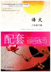 2023年配套综合练习甘肃八年级语文下册人教版