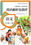 2023年人教金学典同步解析与测评六年级语文上册人教版