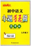 2023年初中语文小题狂做七年级下册巅峰版
