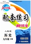 2023年名师点拨配套练习课时作业九年级历史下册人教版