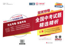 2023年全优中考全国中考试题精选精析化学河北专用