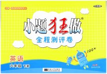 2023年小题狂做全程测评卷六年级英语下册译林版