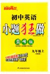 2023年小题狂做九年级英语上册译林版巅峰版