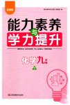 2023年能力素养与学力提升九年级化学下册人教版