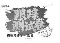 2023年文曲星跟踪测试卷八年级道德与法治历史下册人教版