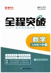 2023年全程突破七年级数学下册人教版