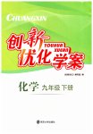 2023年创新优化学案九年级化学下册沪教版