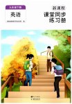 2023年新课程课堂同步练习册九年级英语下册人教版
