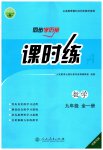 2023年同步导学案课时练九年级数学全一册人教版河南专版