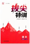 2023年拔尖特训九年级语文下册人教版