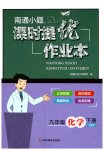 2023年南通小题课时提优作业本九年级化学下册沪教版