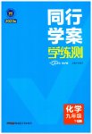 2023年同行学案学练测九年级化学下册人教版