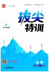 2023年拔尖特训九年级化学上册人教版