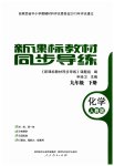 2023年新课标教材同步导练九年级化学下册人教版
