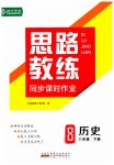 2023年思路教练同步课时作业八年级历史下册人教版