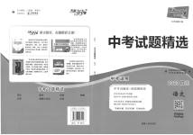 2023年天利38套中考试题精选语文四川专版