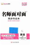 2023年名师面对面同步作业本九年级英语全一册人教版浙江专版