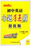 2023年小题狂做八年级英语下册译林版提优版