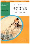 2023年同步练习册人民教育出版社七年级语文下册人教版新疆用