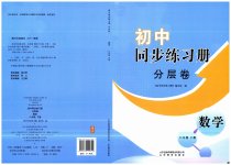 2023年同步练习册分层拓展八年级数学下册青岛版