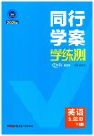 2023年同行学案学练测九年级英语下册人教版