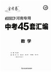 2023年金考卷中考45套汇编数学河南专版紫色封面