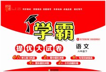 2023年学霸提优大试卷六年级语文下册人教版