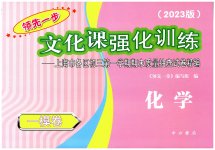 2023年文化课强化训练化学