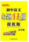 2023年初中语文小题狂做提优版九年级人教版