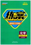2023年练案八年级化学全一册鲁教版五四制
