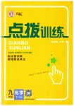 2023年点拨训练九年级化学下册人教版