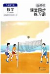 2023年新课程课堂同步练习册九年级数学下册华师大版
