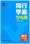 2023年同行学案学练测九年级数学下册人教版