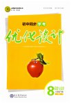 2023年同步学考优化设计八年级道德与法治下册人教版