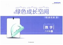 2023年阳光互动绿色成长空间八年级数学下册提优版