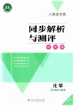 2023年同步解析与测评学考练九年级化学上册人教版广东专版
